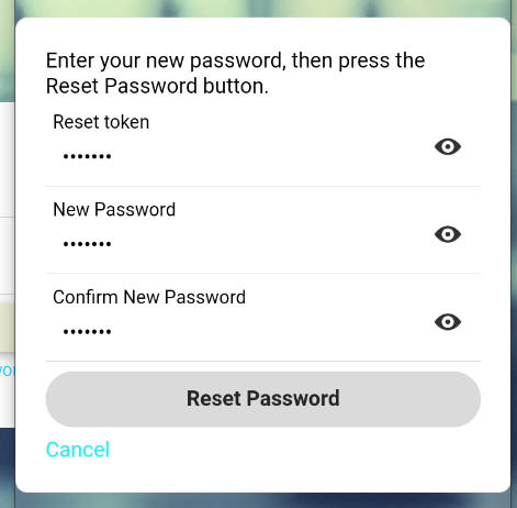 Reset Password Form